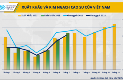 Xuất khẩu cao su bỏ trứng vào một giỏ nhưng giá bán thấp nhất so với các đối thủ